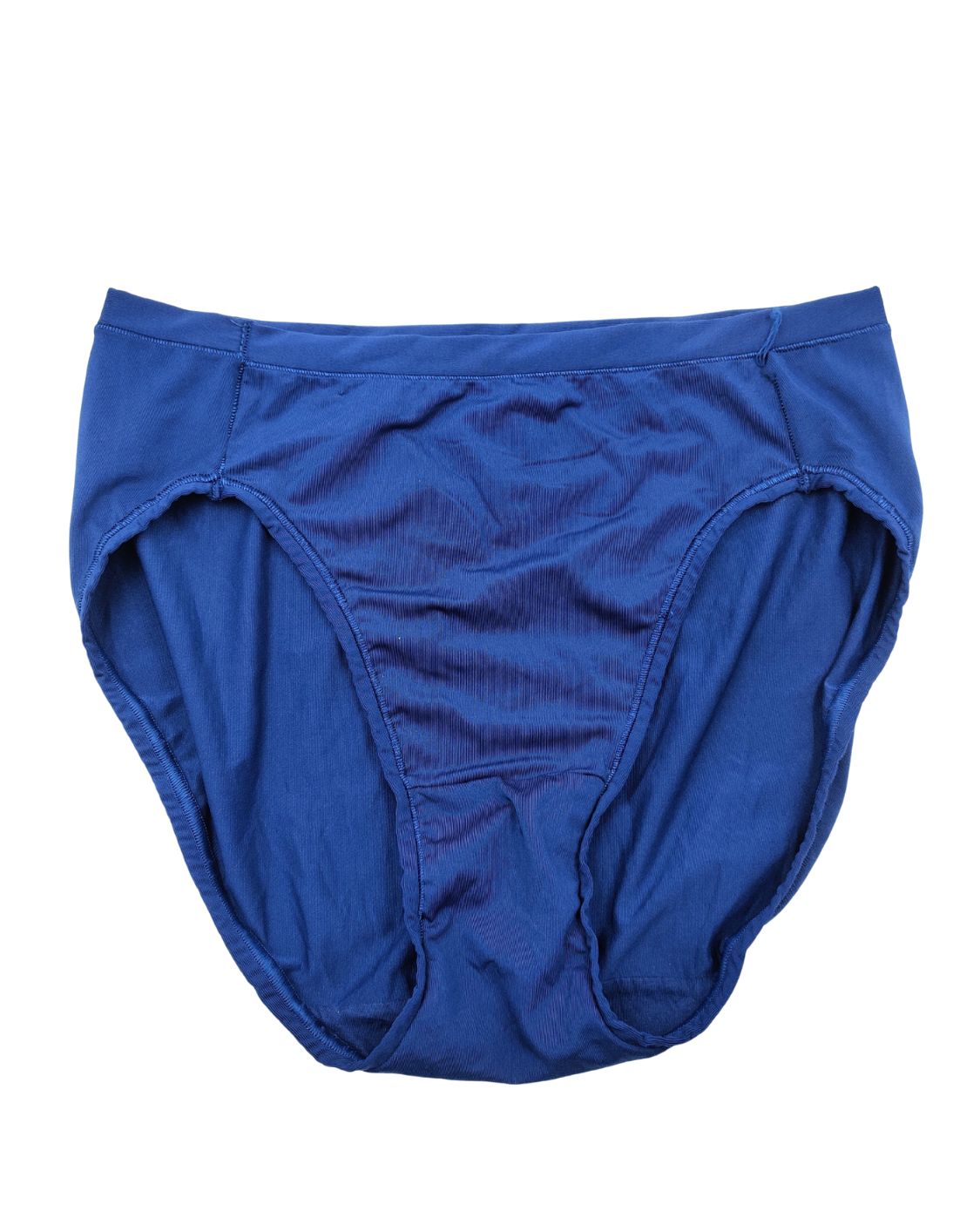 Hanes Blue Underwear Women L