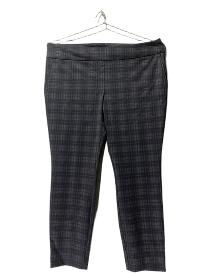 Dalia Jeans For Women