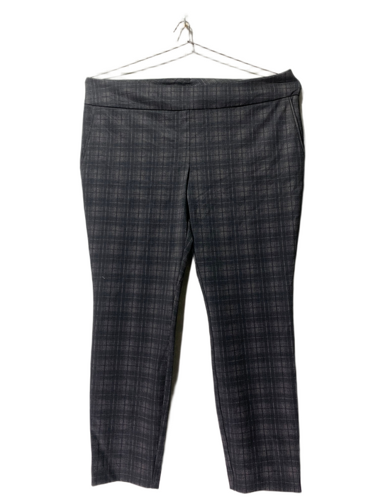 Dalia Jeans For Women